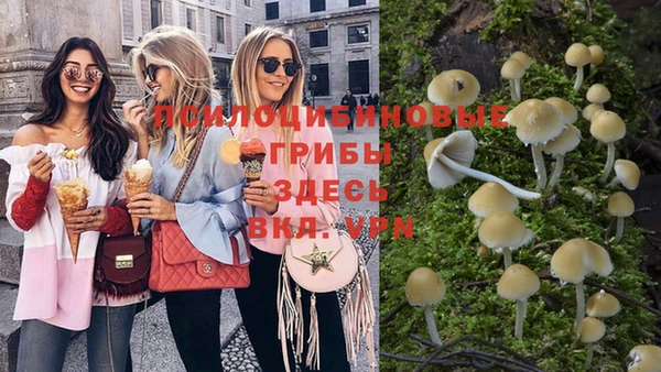 скорость Абаза